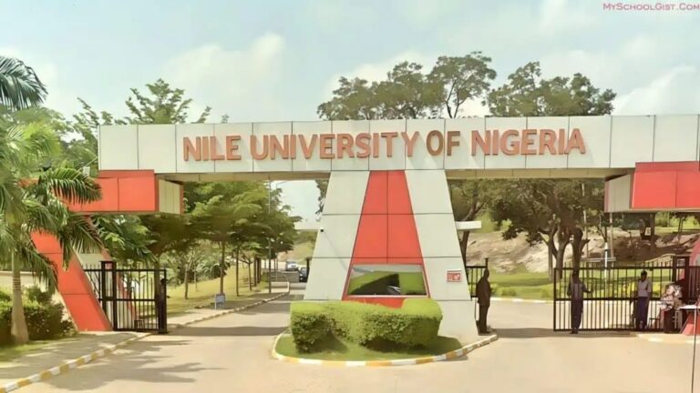 NILE UNIVERSITY APPLICATION 2025 visual data 5