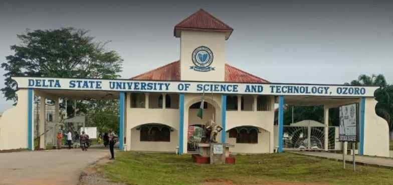 Delta State University of Science and Technology Unveils Academic ...