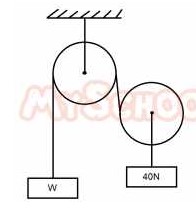 The figure above represents a frictionless pulley system in which a weight W is in equilibrium with a weight of 40n find the value of <b>W</b>