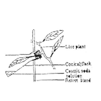 The experimental set-up can be used to demonstrate that