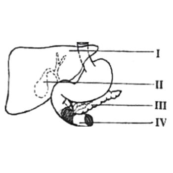 The bile is stored in the part labelled