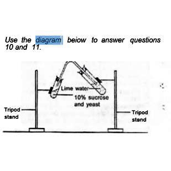 The ability of a living organism to detect and respond to changes in the environment is referred to as