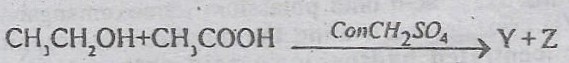Y and Z in the reaction above represent<br>