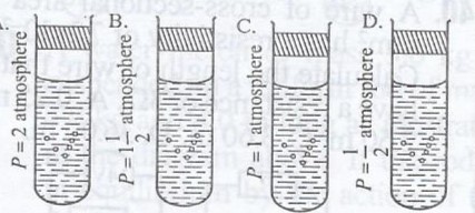 In a resonance tube experiment which is illustrated above, the velocity of sound in air is 327.68mis, the frequency of the turning fork used is therefore<br>